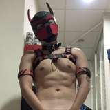 xundog from onlyfans